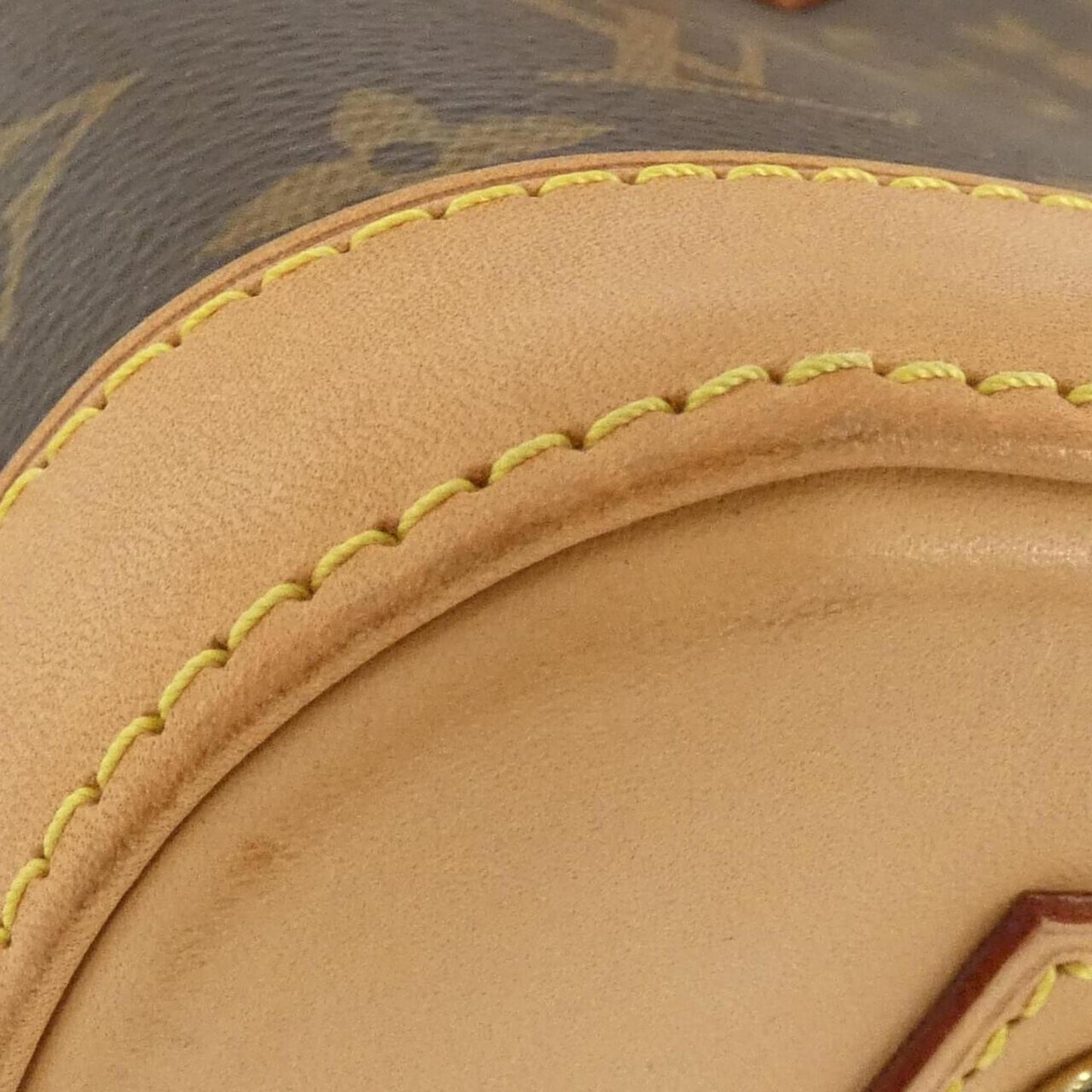 Louis Vuitton Monogram Canvas Brown Handbags