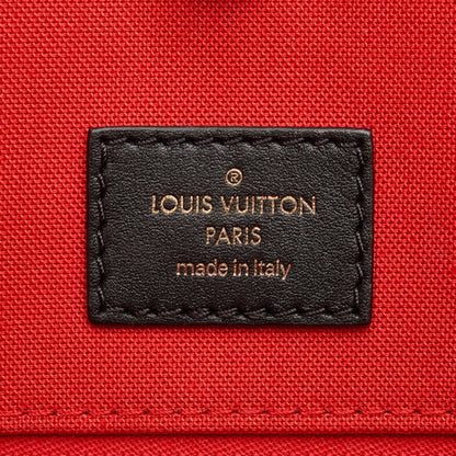 Louis Vuitton Pvc Brown Handbags