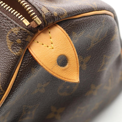 Louis Vuitton Coated Canvas Brown Handbags