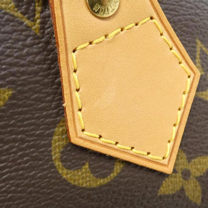 Louis Vuitton Coated Canvas Brown Handbags