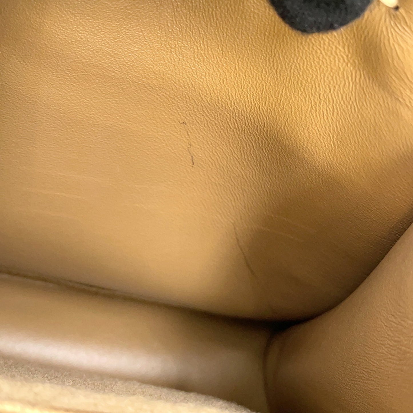 Fendi Others Brown Handbags