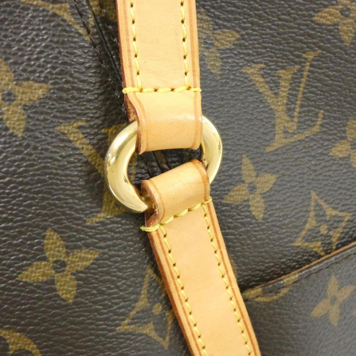Louis Vuitton Monogram Canvas Brown Handbags