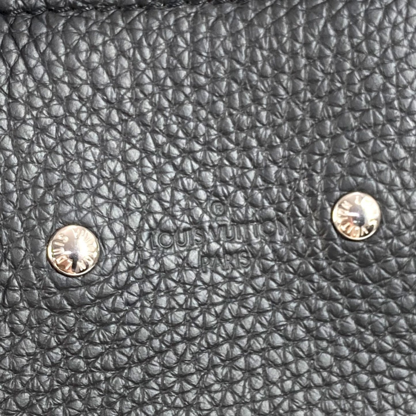 Louis Vuitton Others Black Shoulder Bags