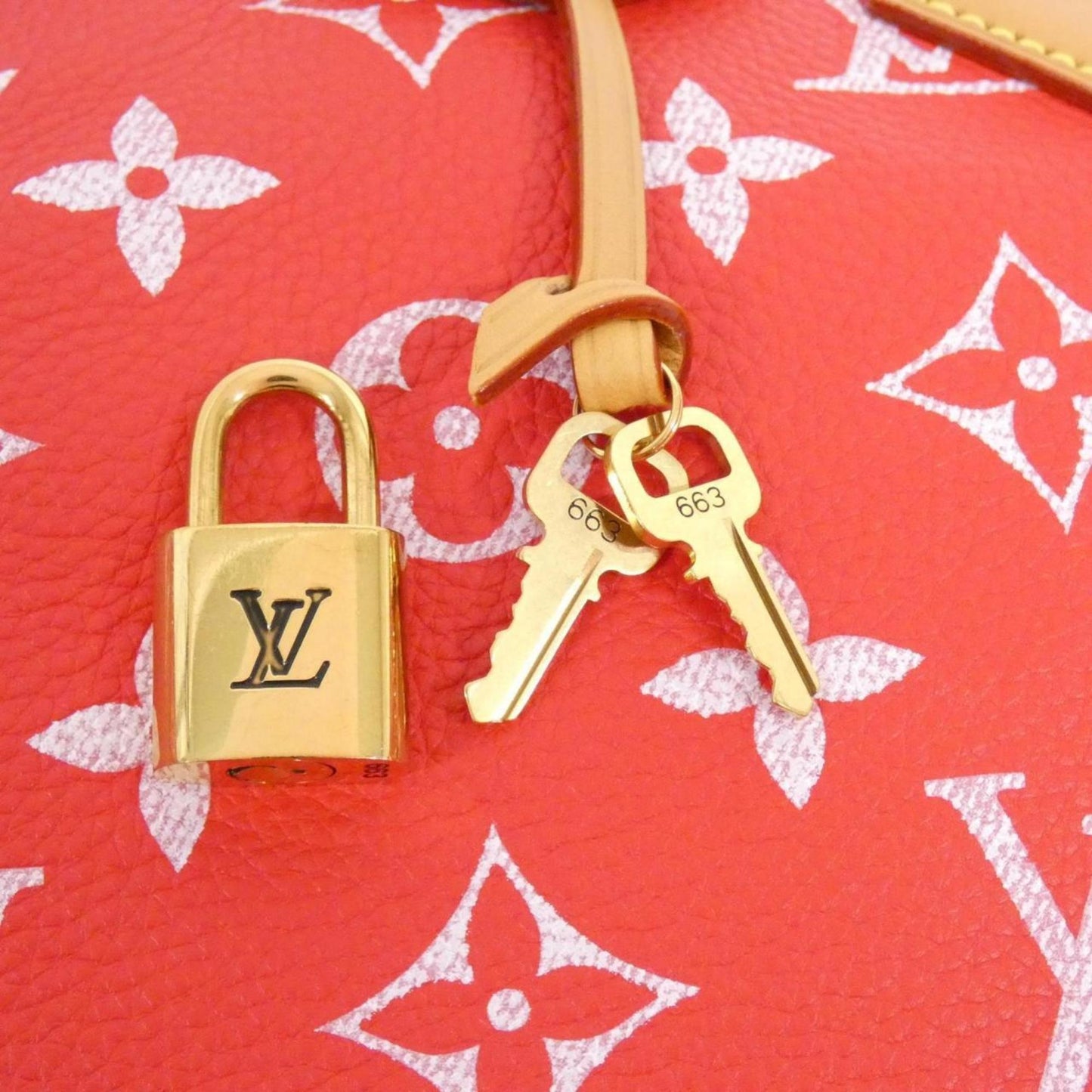 Louis Vuitton Others Red Travel Bags