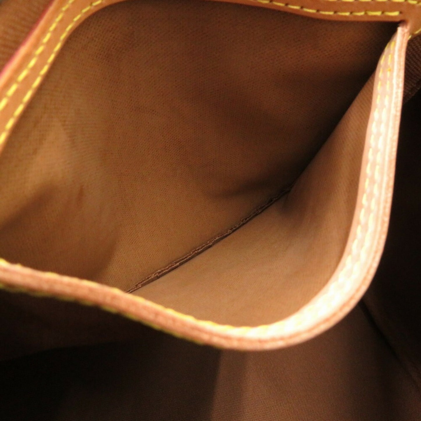 Louis Vuitton Monogram Canvas Brown Handbags