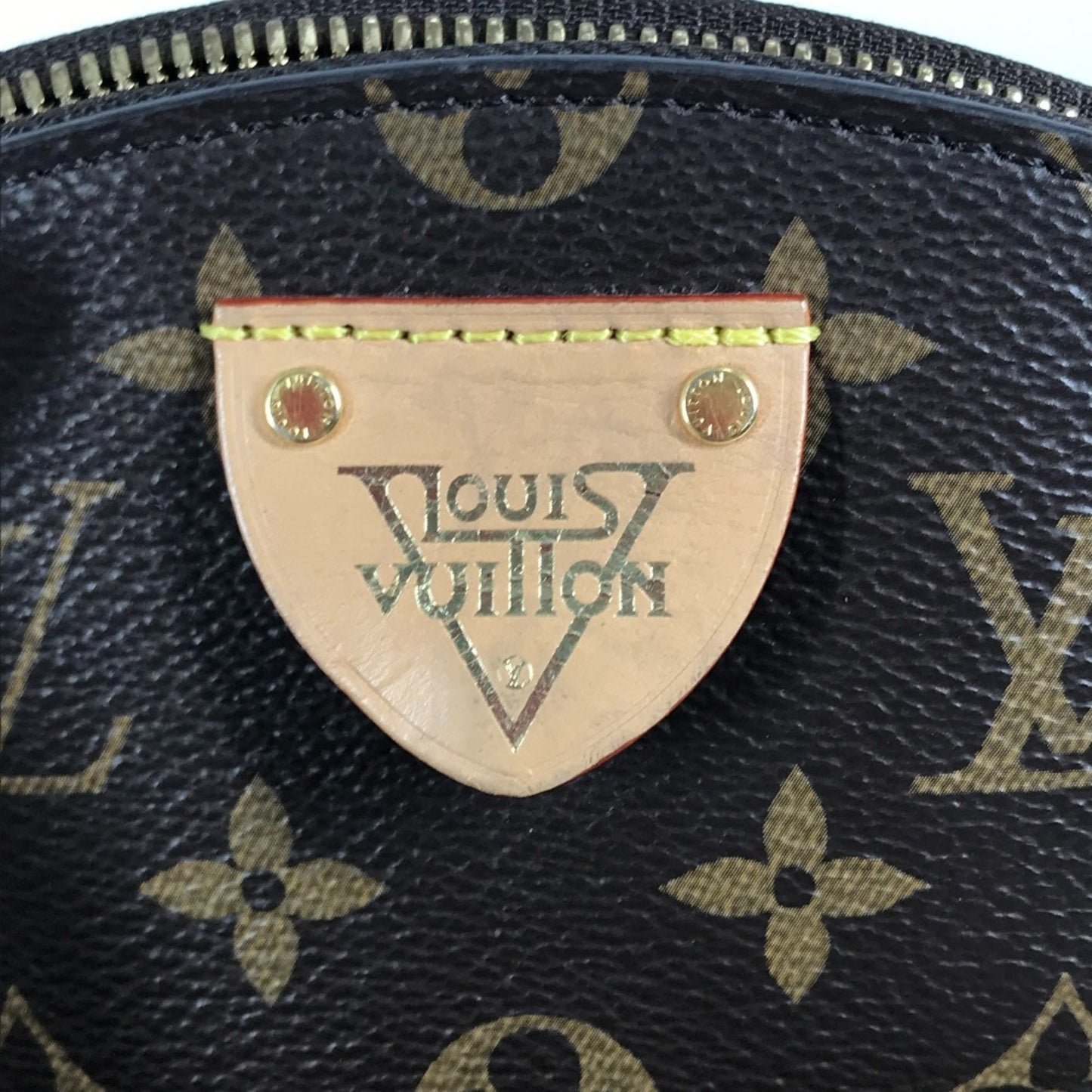Louis Vuitton Monogram Canvas Brown Backpacks