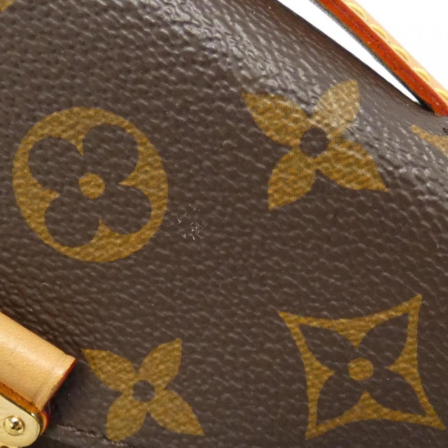 Louis Vuitton Monogram Canvas Brown Shoulder Bags