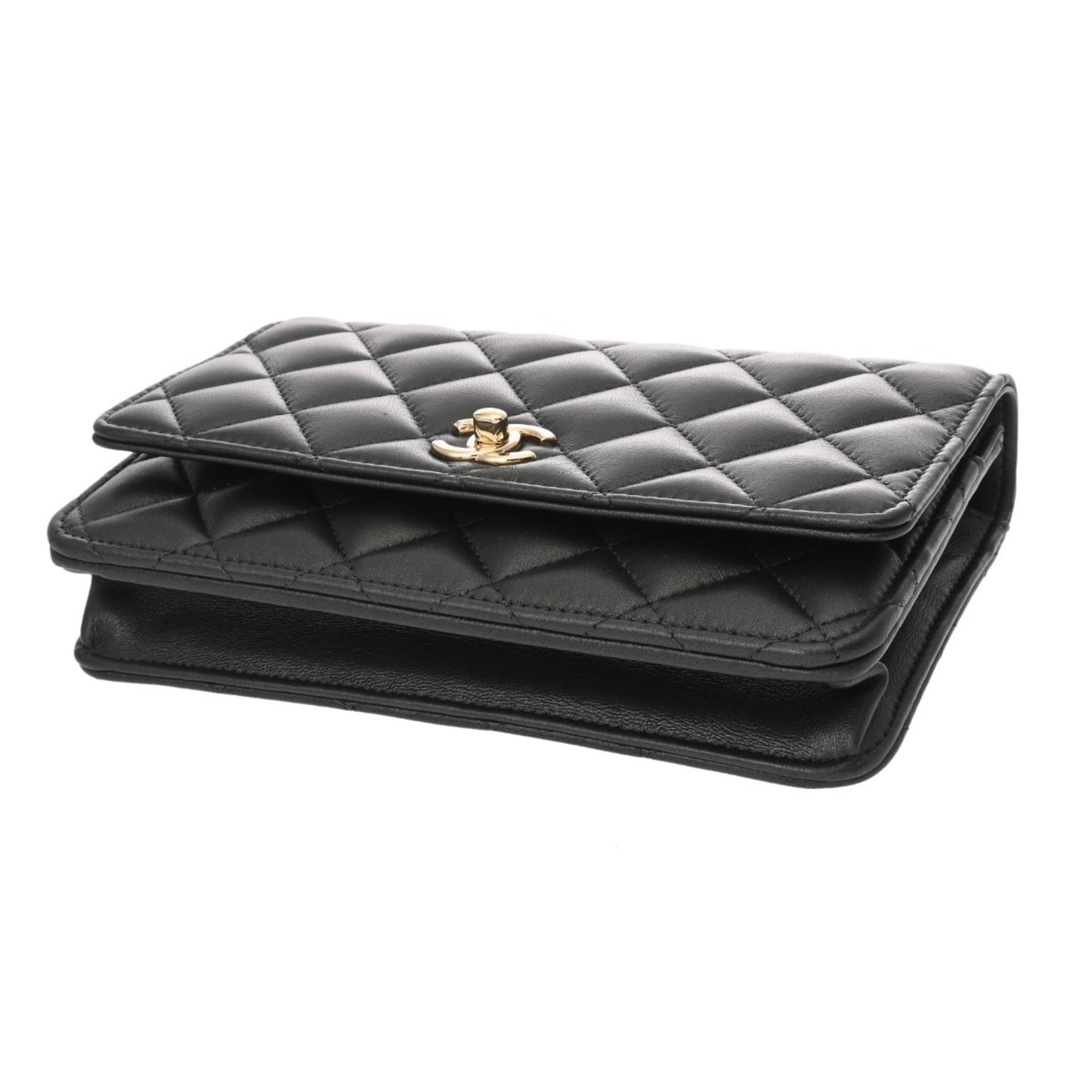 Chanel Others Black Small Bags