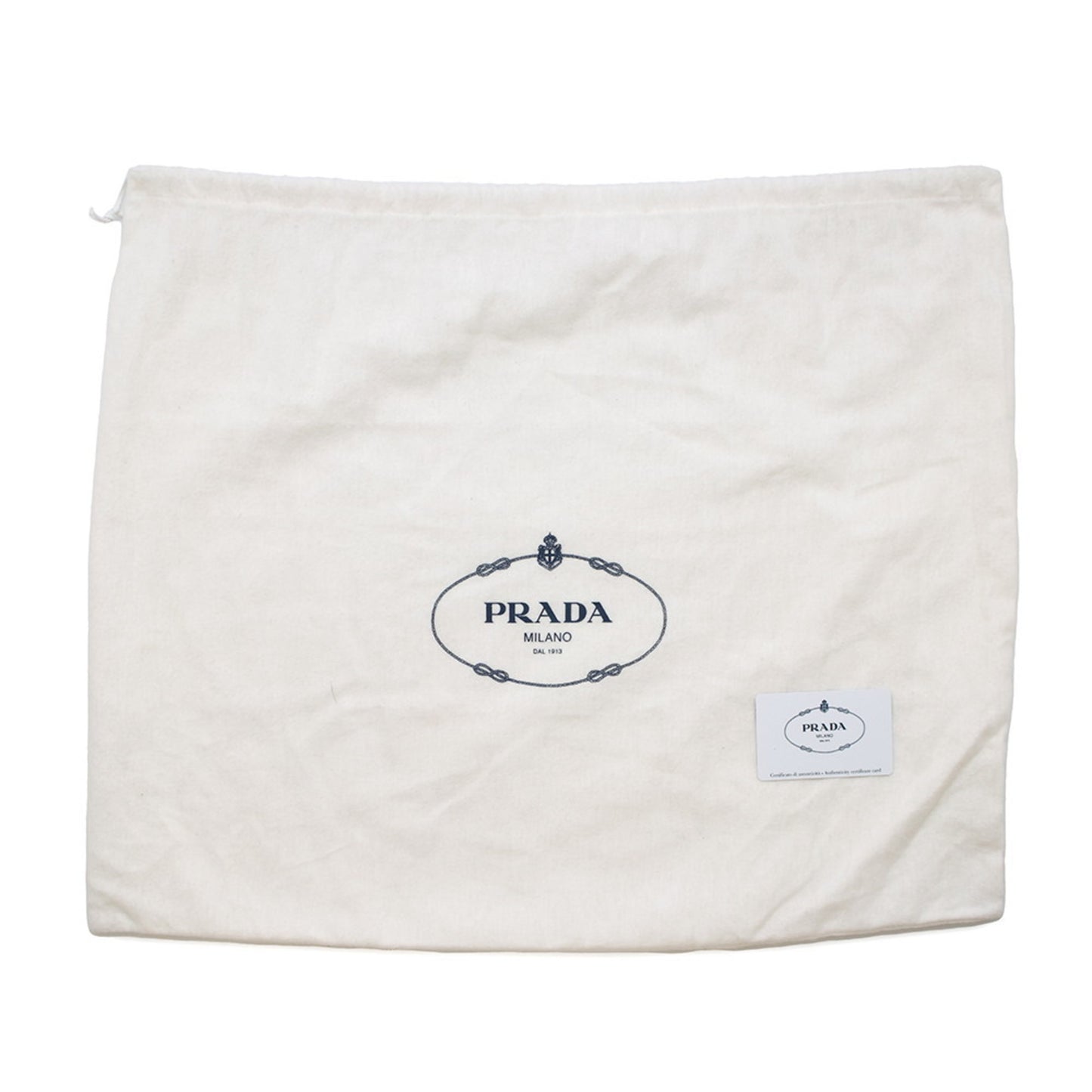 Prada Canvas Blue Shoulder Bags