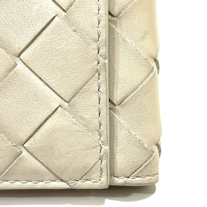 Bottega Veneta Others White Cases