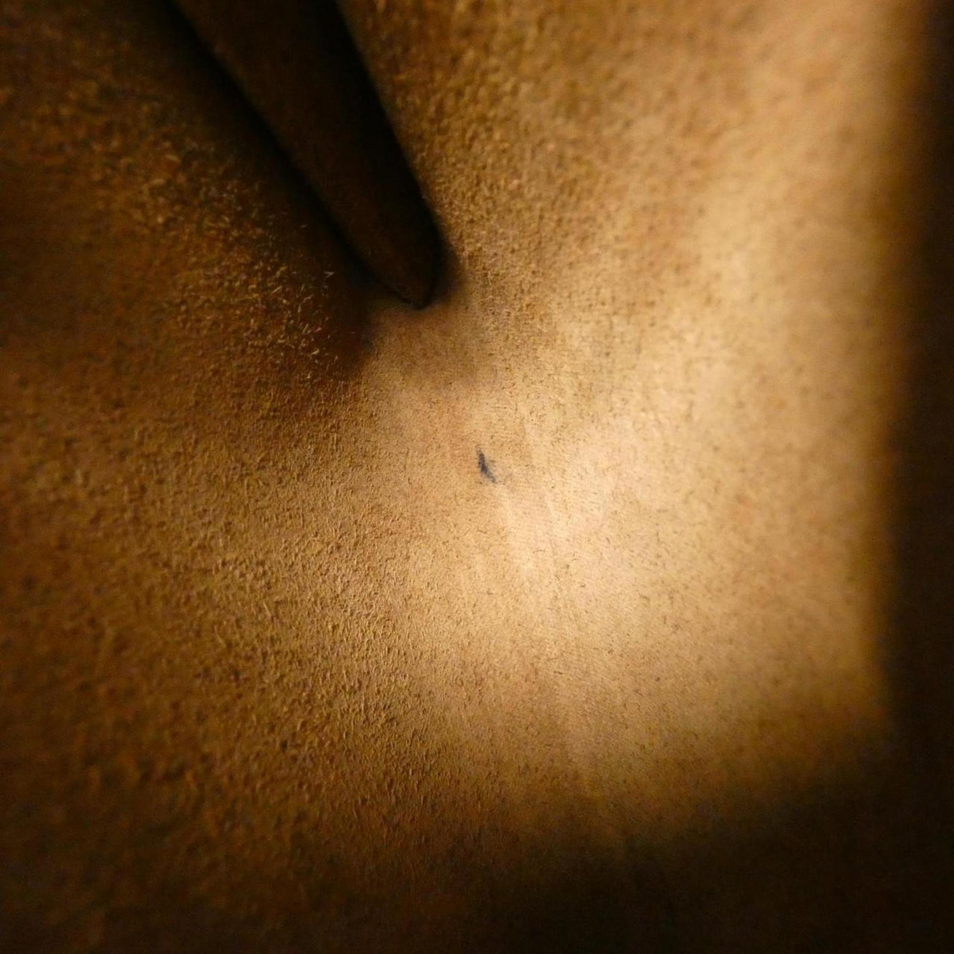 200226411.jpg
