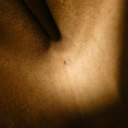 200226411.jpg
