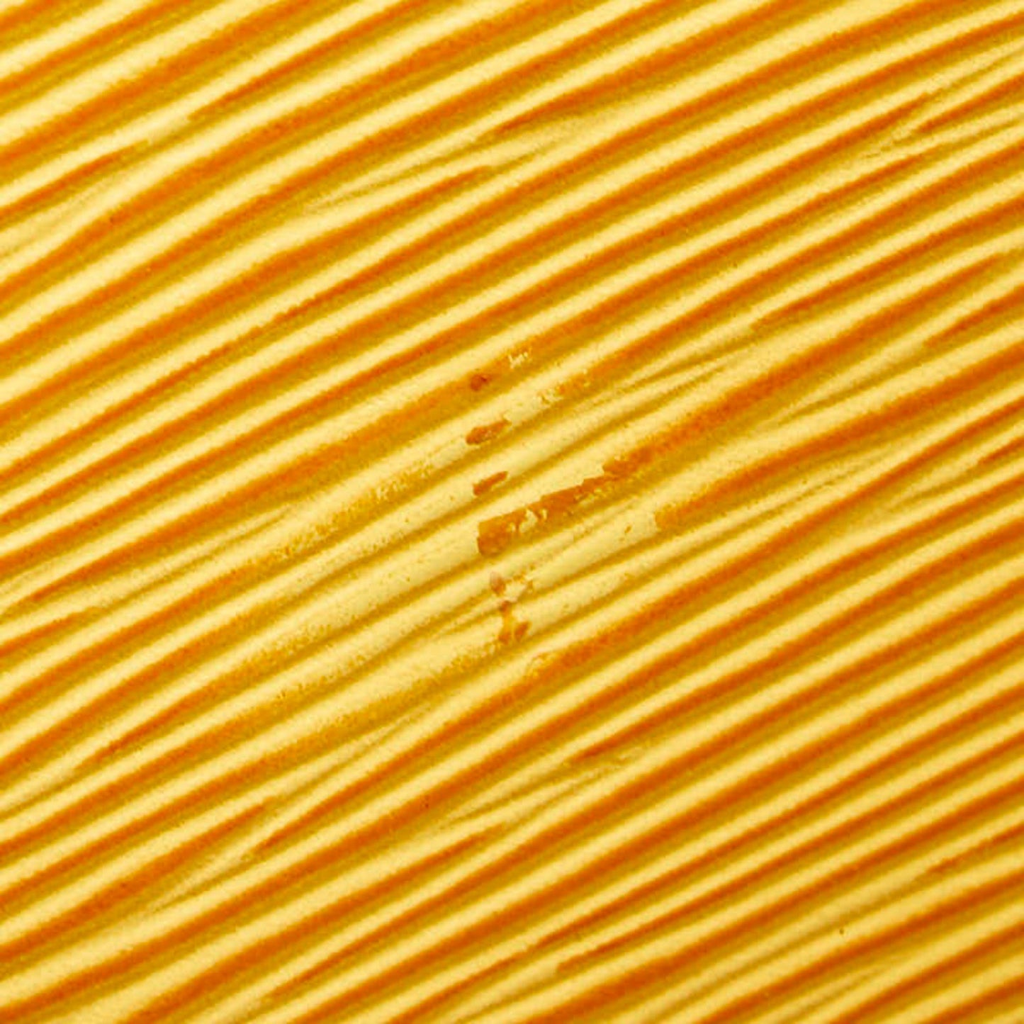 200859906.jpg