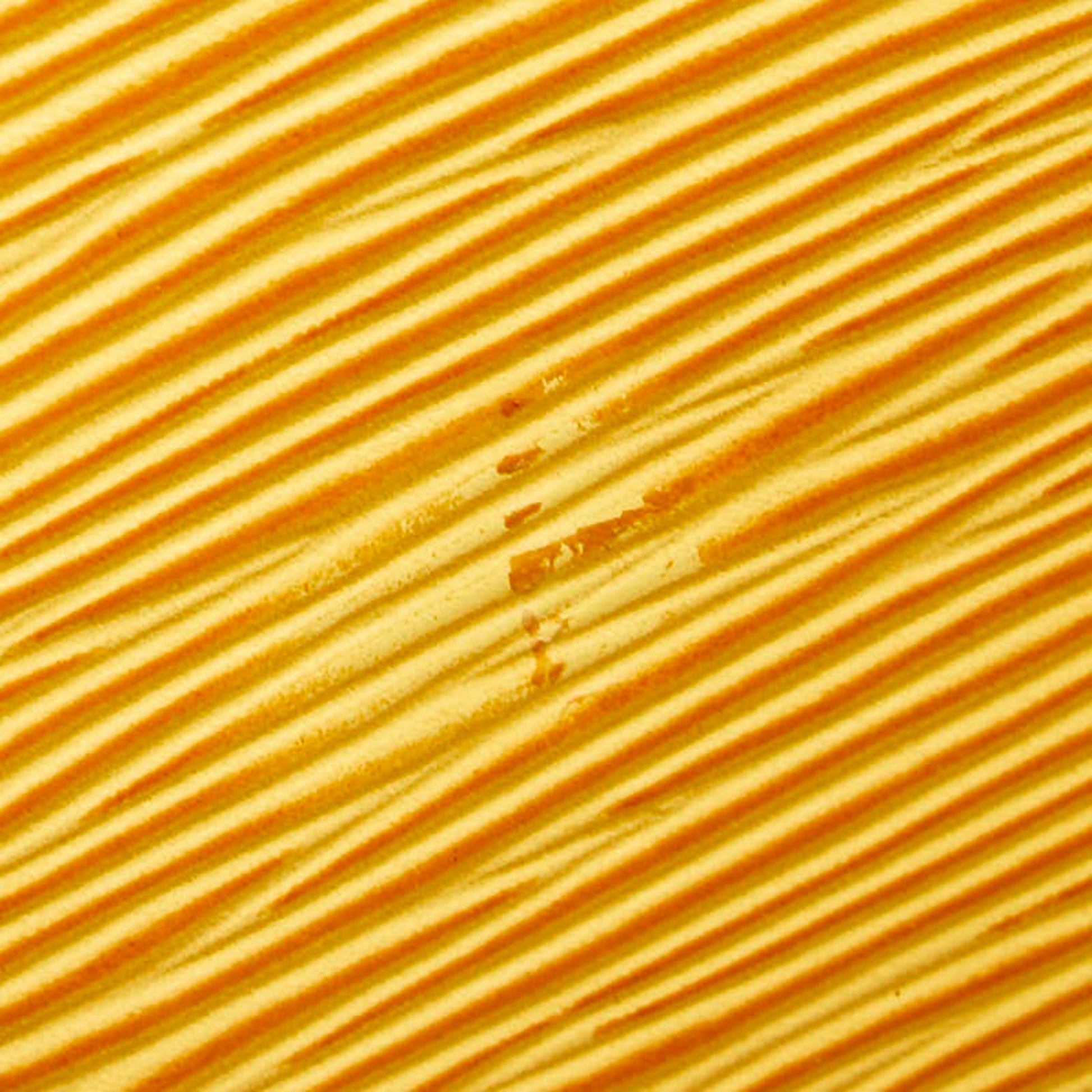 200859906.jpg
