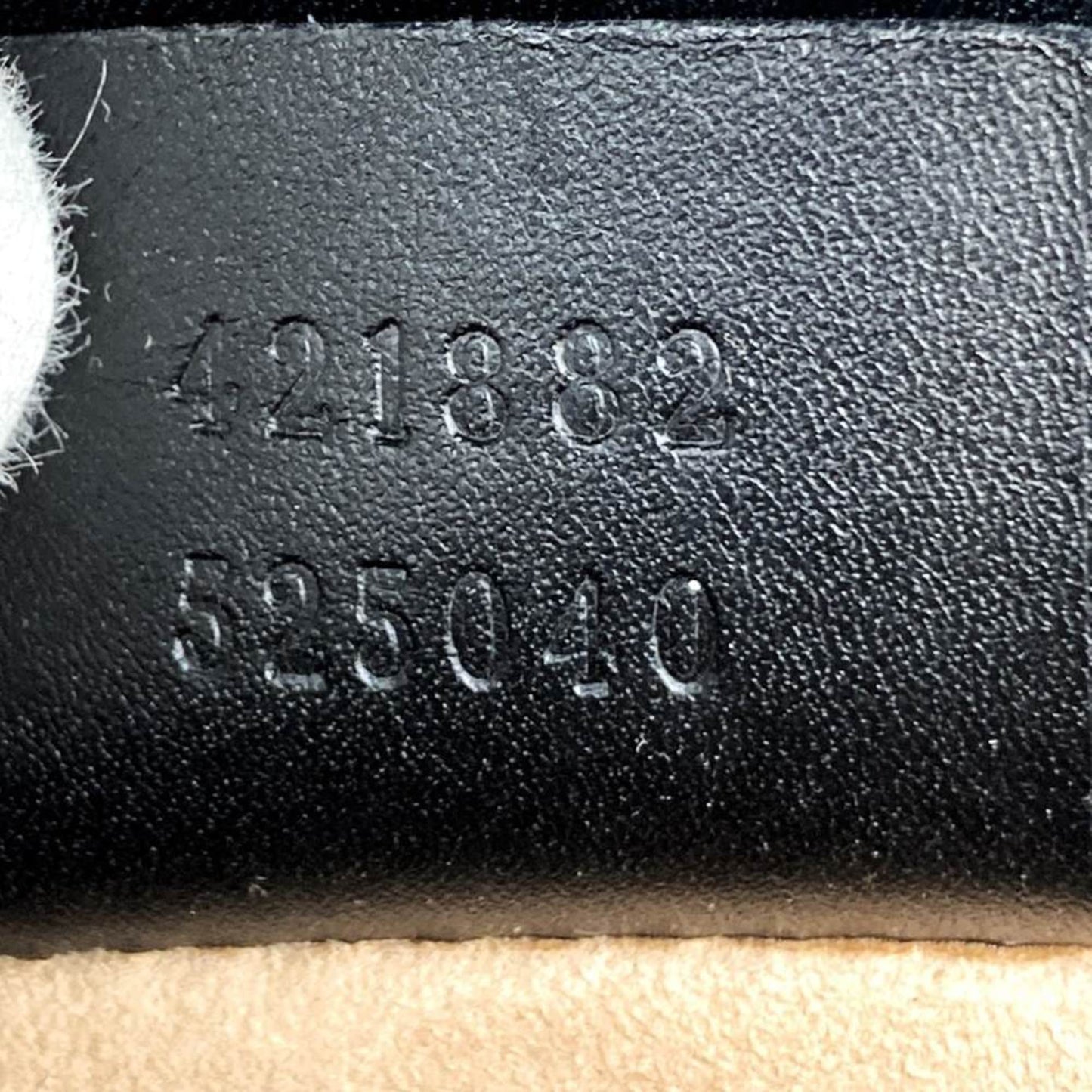 208277246.jpg