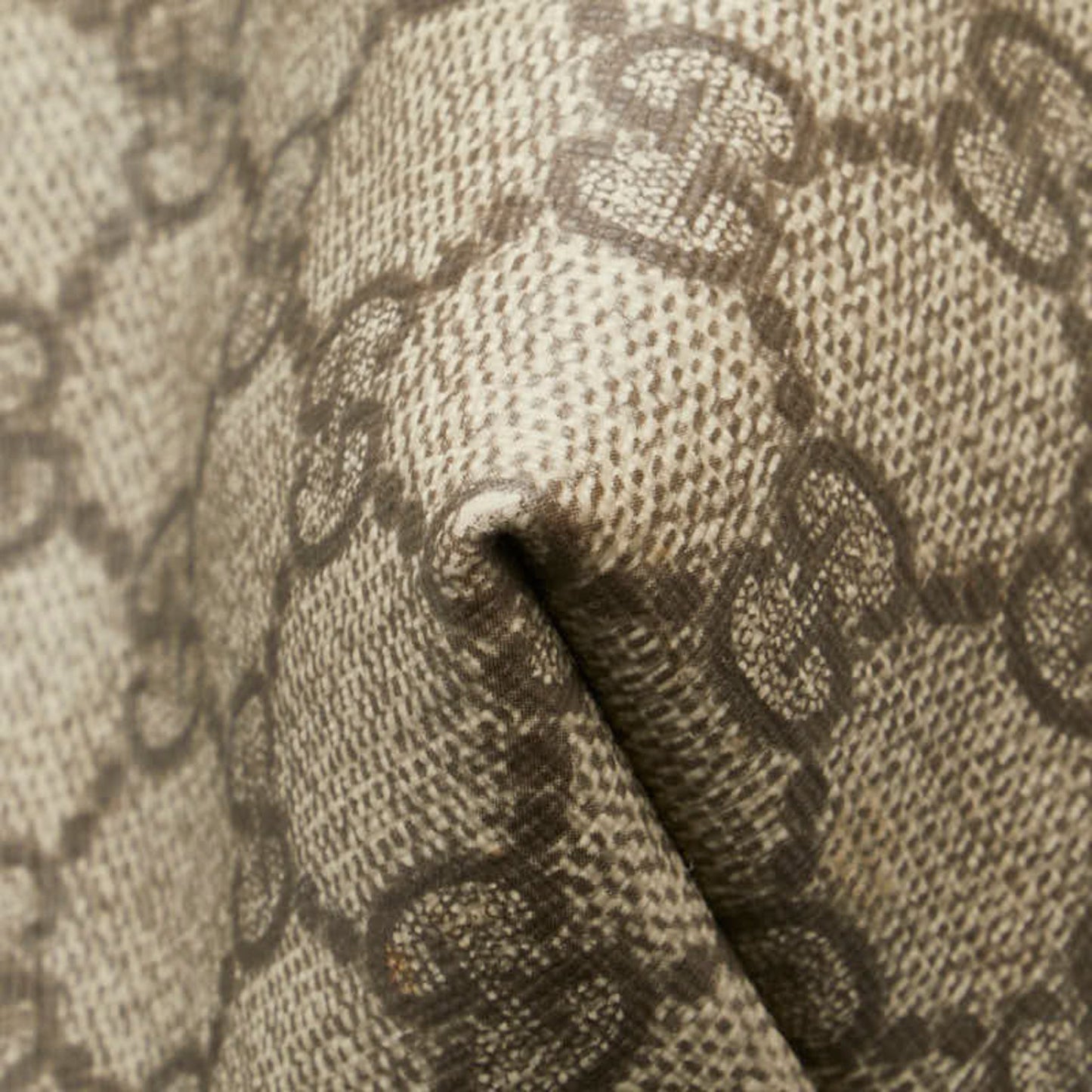 221589529.jpg
