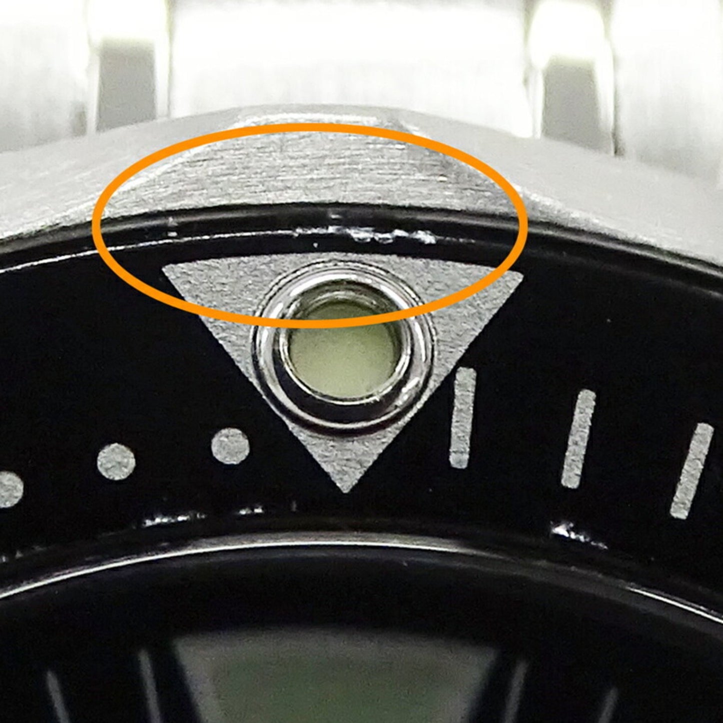 223265186.jpg