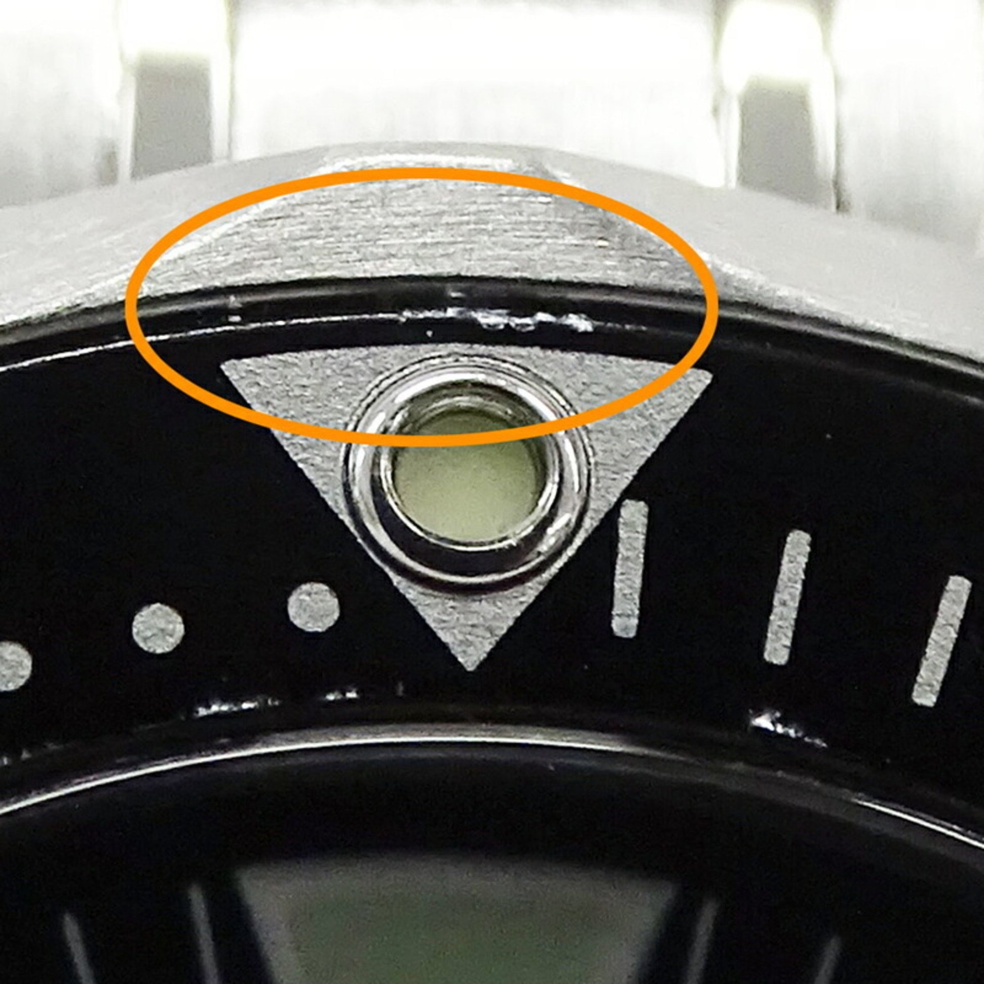 223265186.jpg