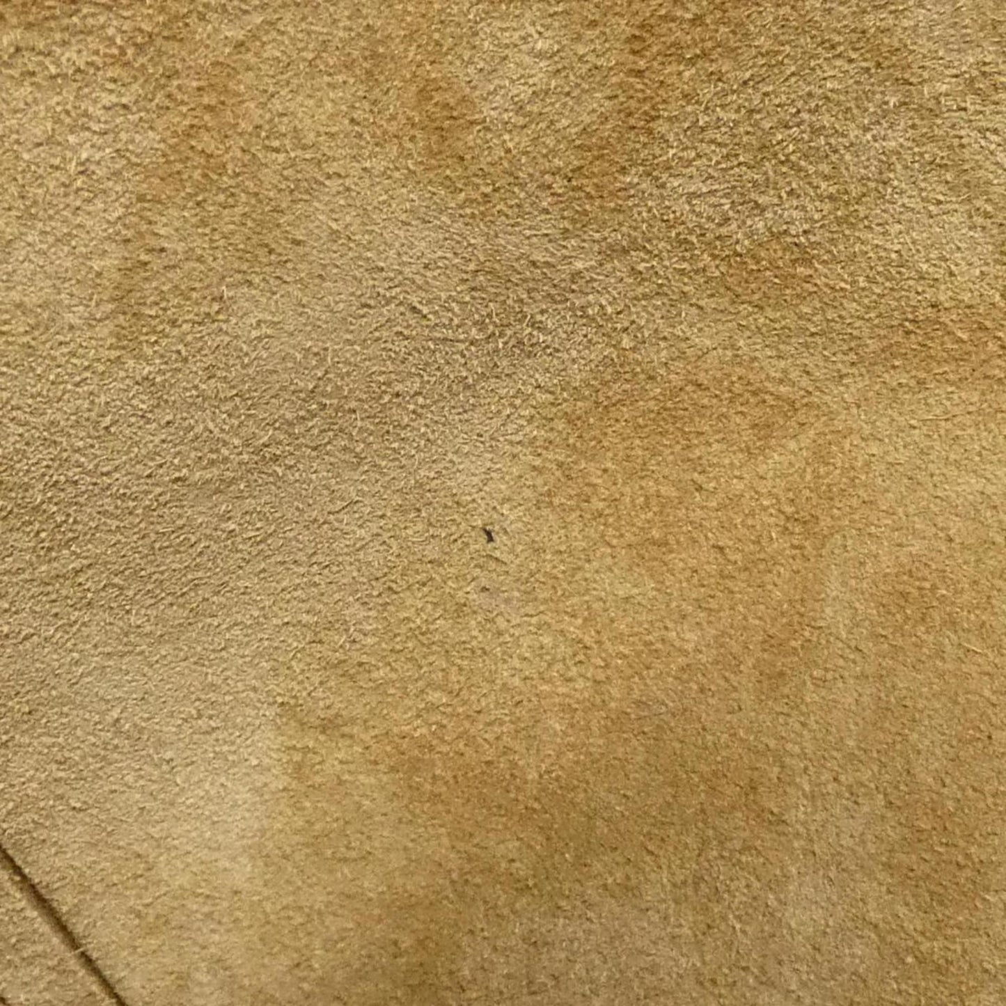 229444068.jpg