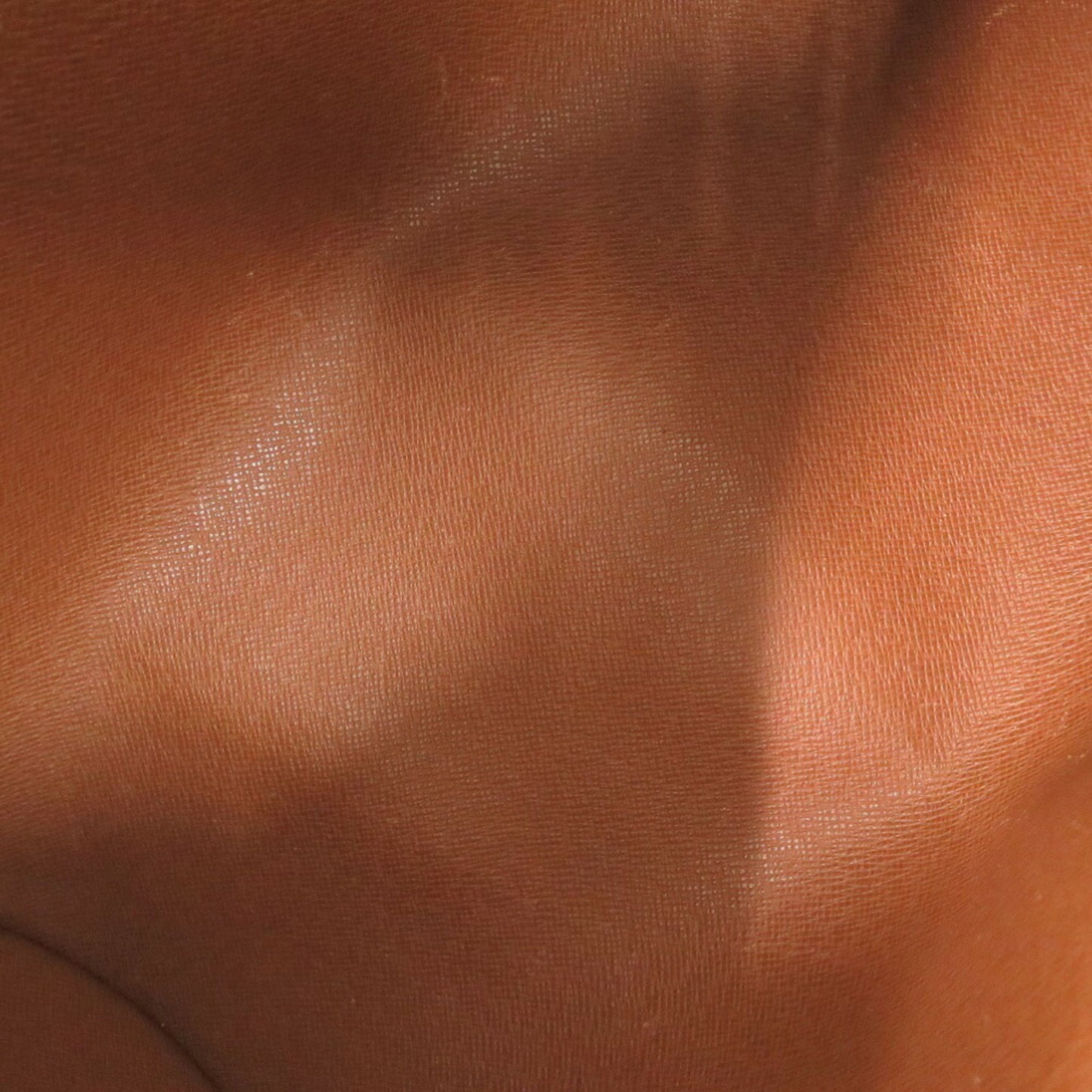 229445401.jpg