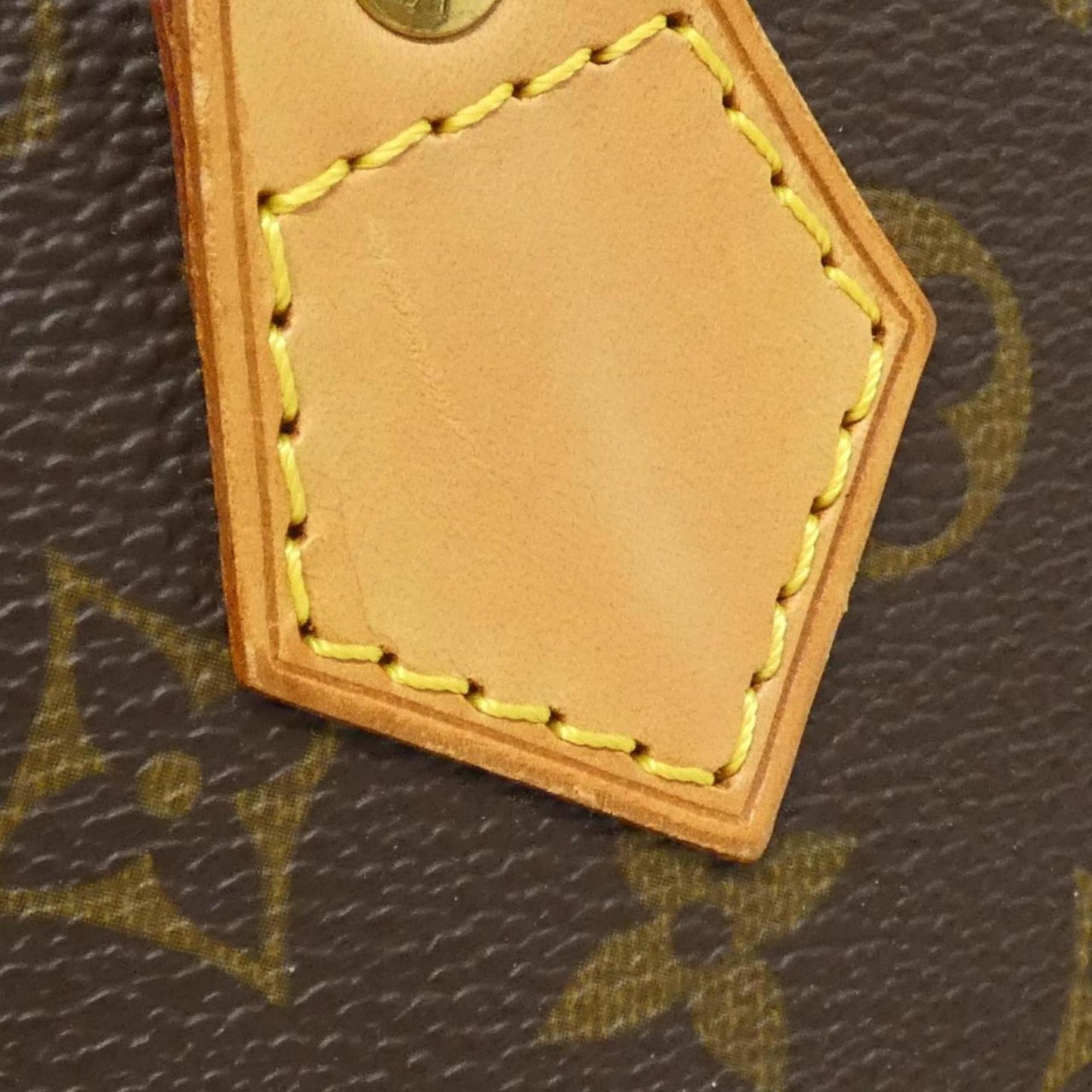 229446234.jpg