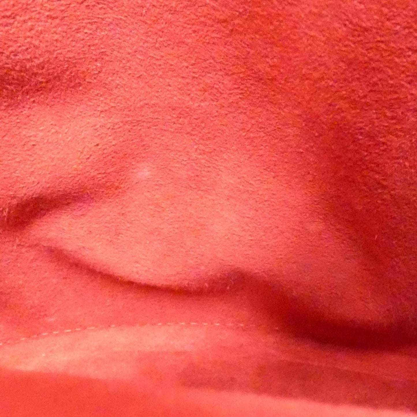 229447040.jpg