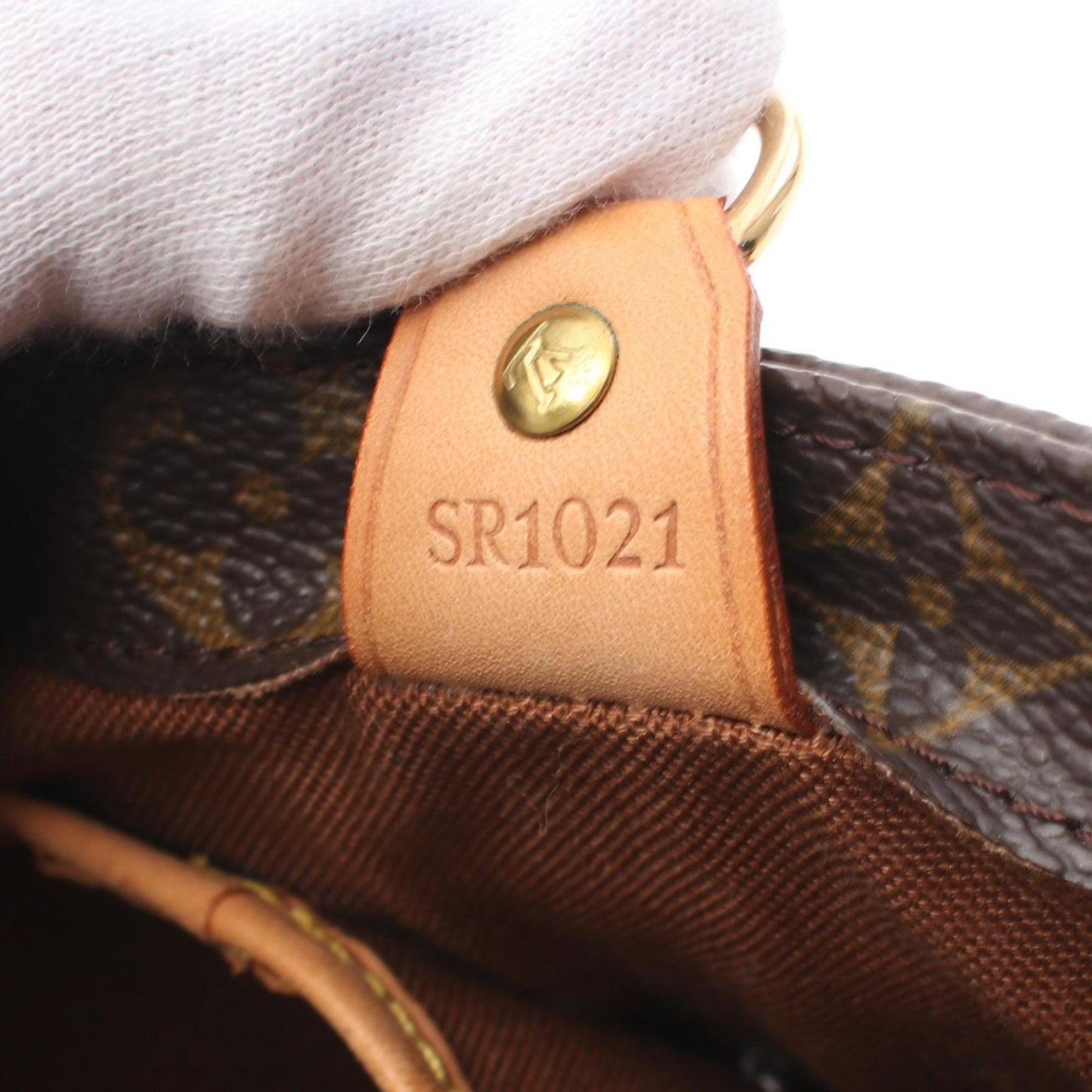 229454169.jpg