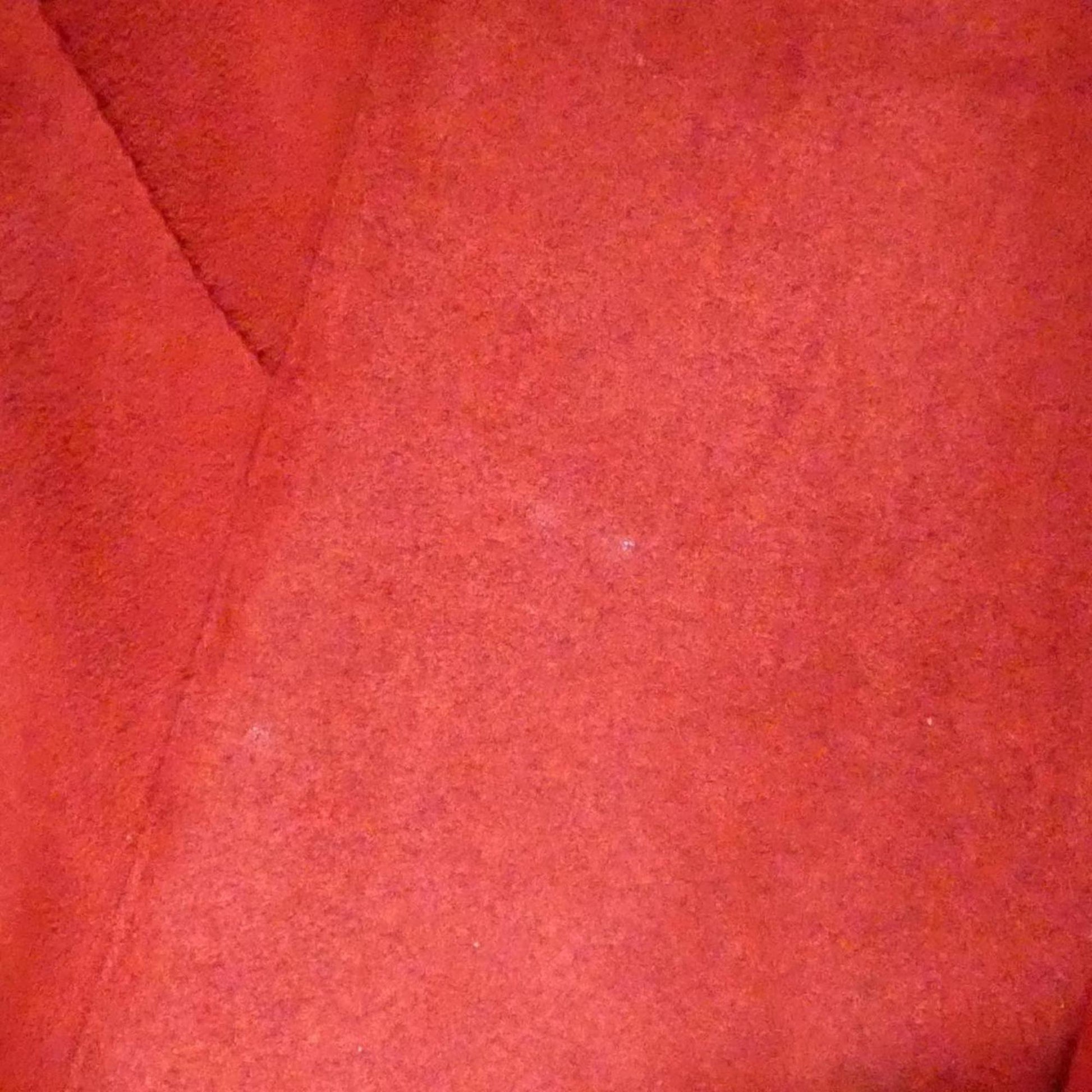 229463361.jpg