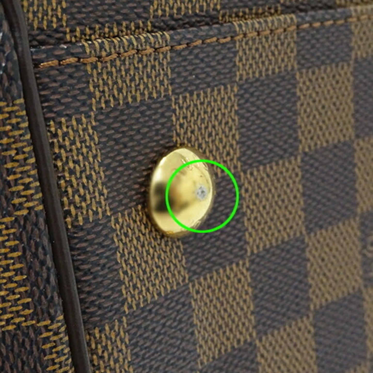 229464264.jpg