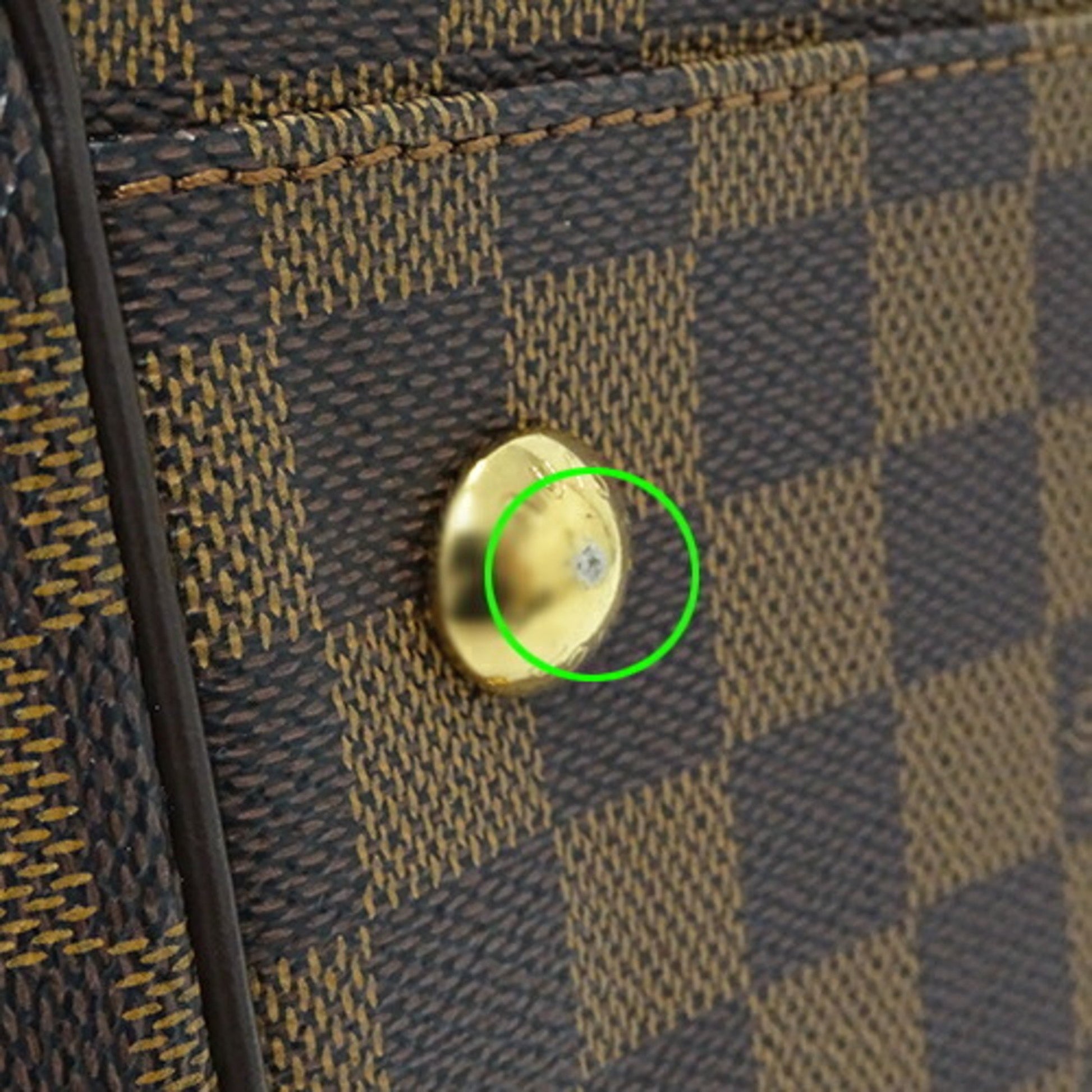 229464264.jpg