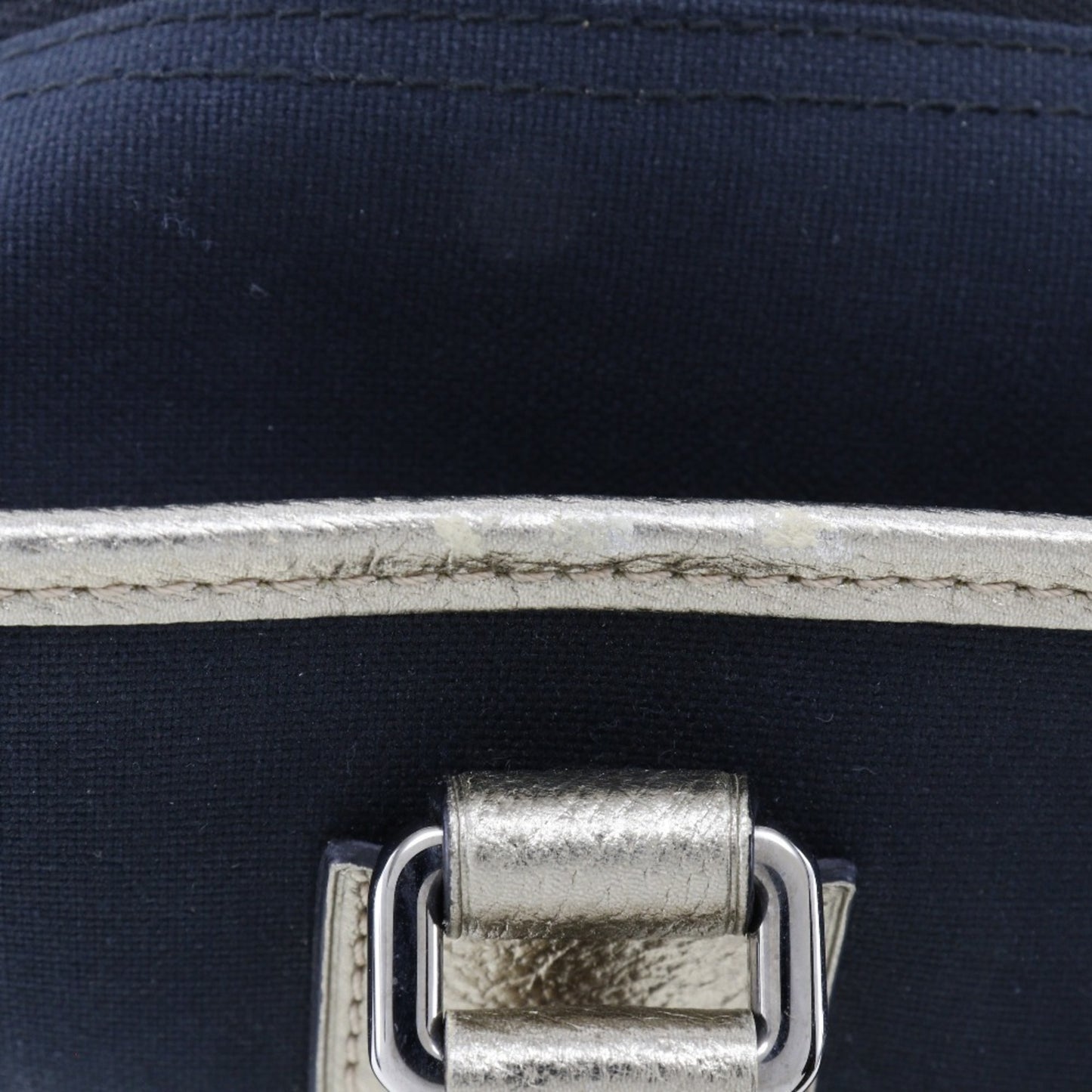 Loewe Blue Canvas Amazona