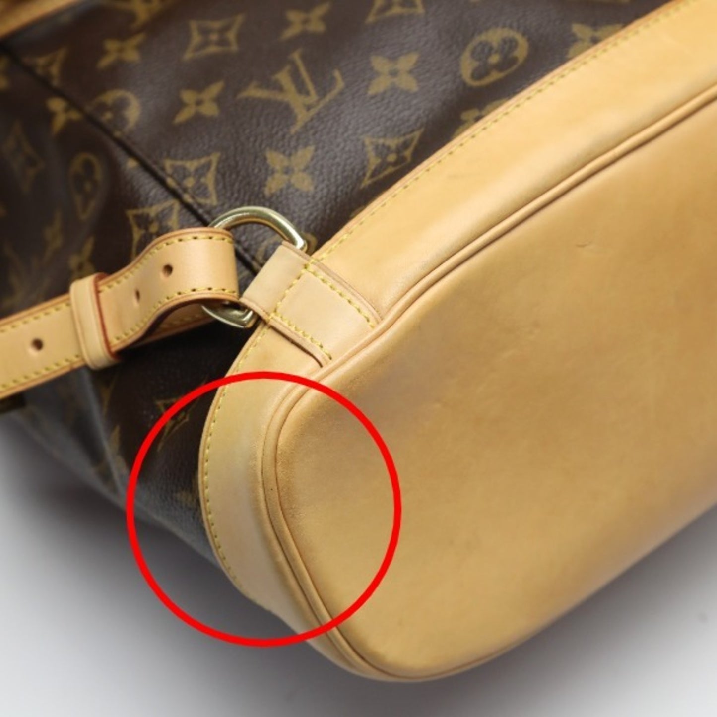 Louis Vuitton Brown Canvas Montsouris