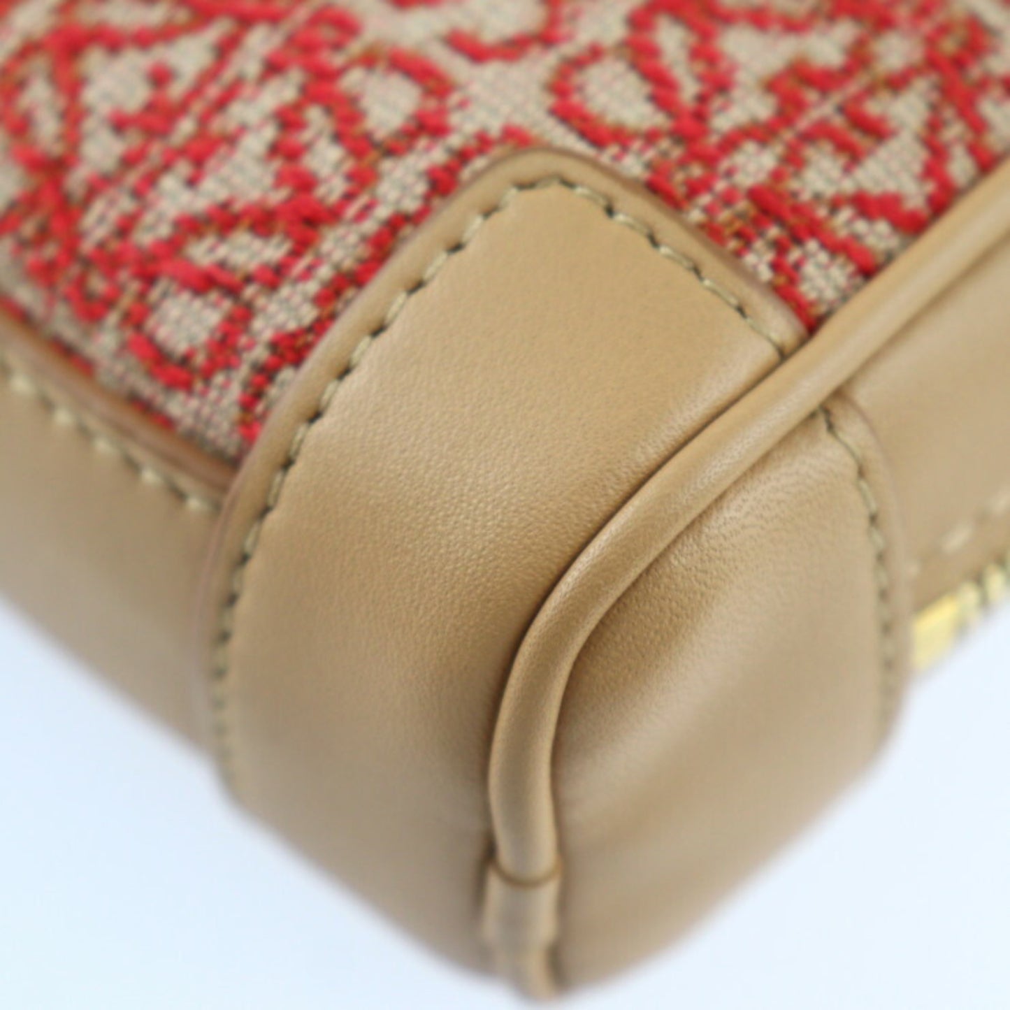 Loewe Red Canvas Amazona