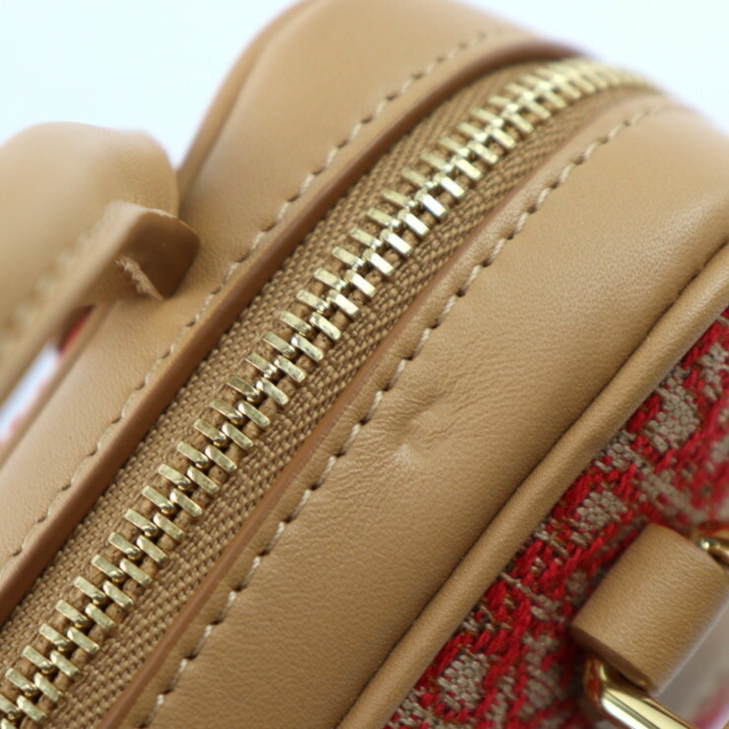 Loewe Red Canvas Amazona