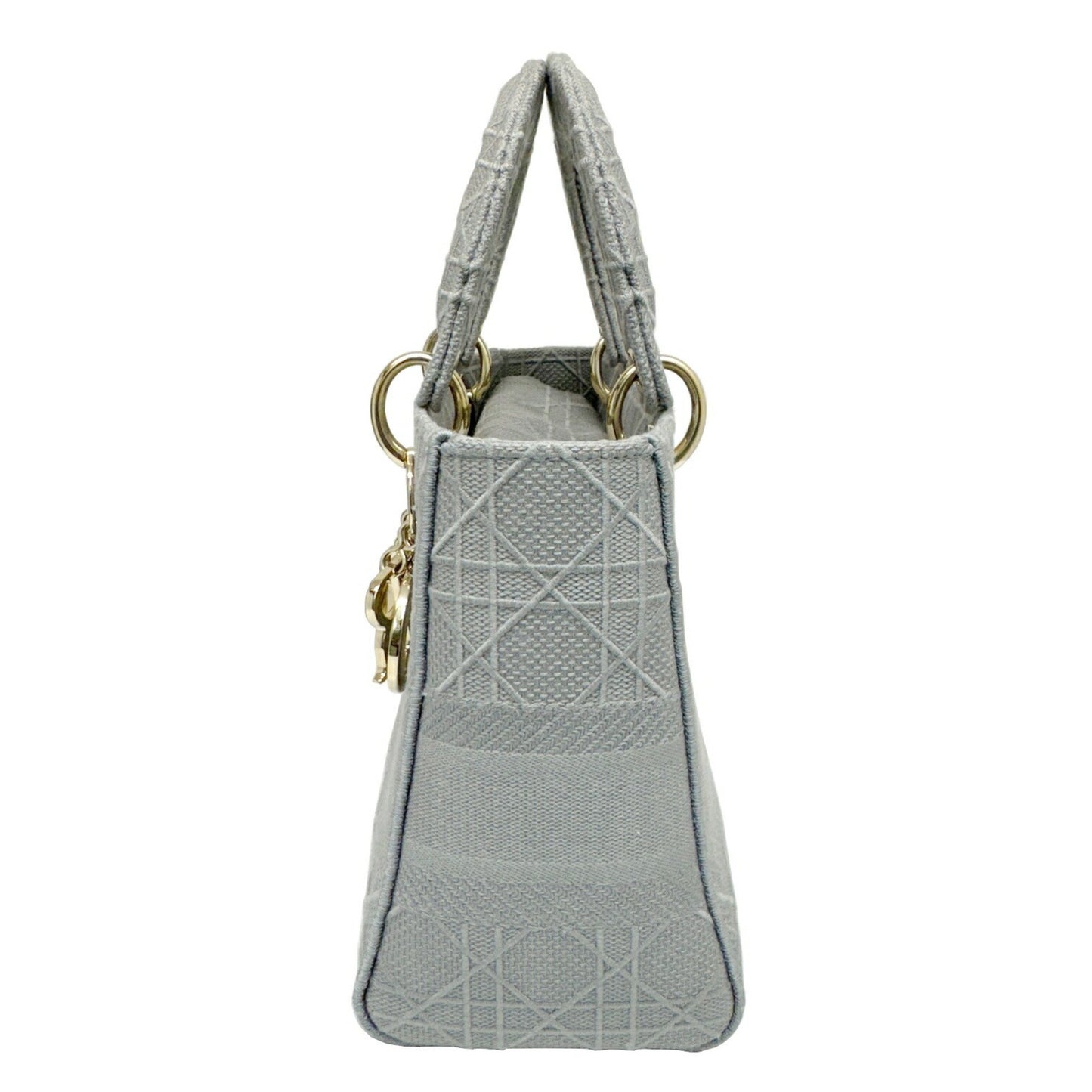 Dior Gray Canvas Lady D-light