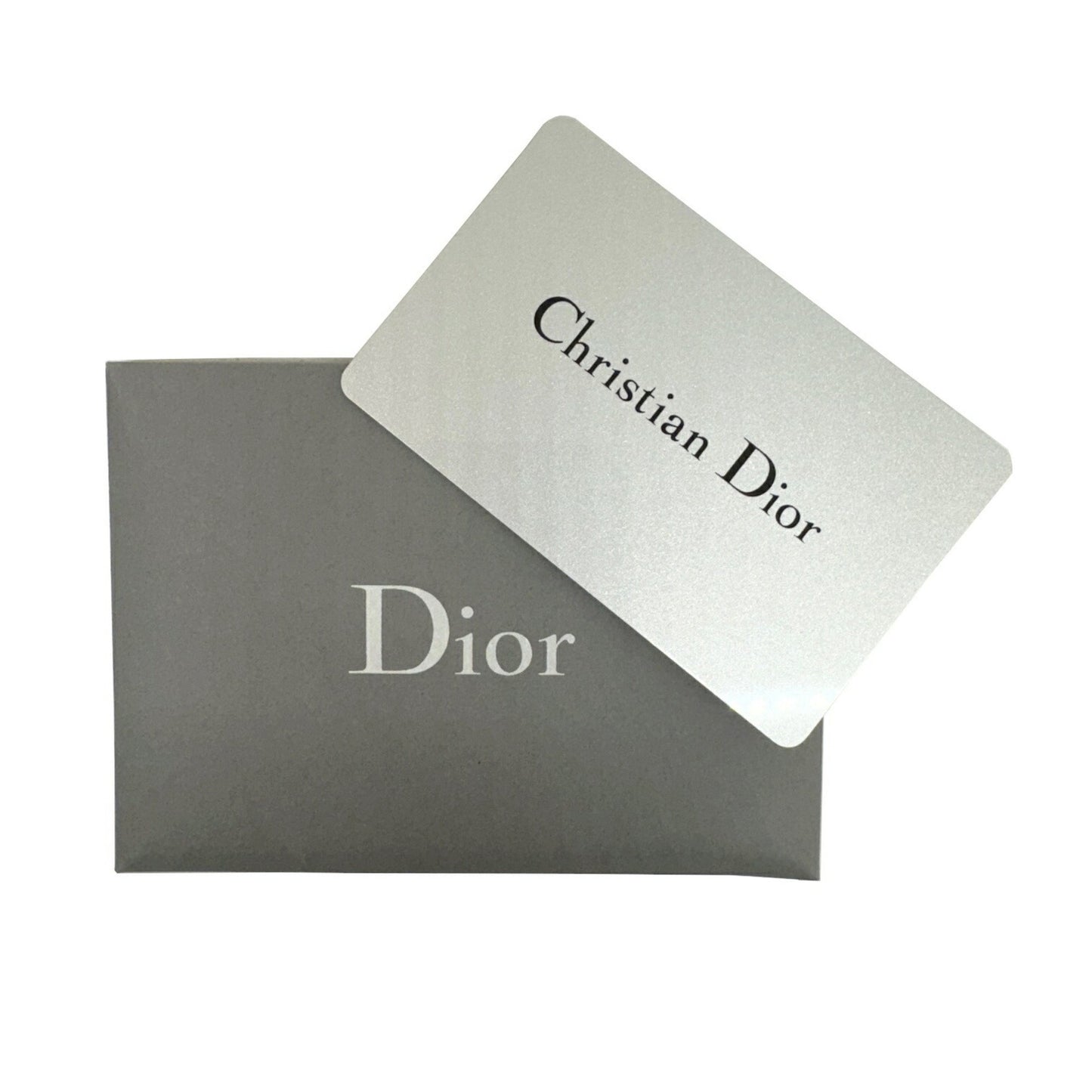 Dior Gray Canvas Lady D-light
