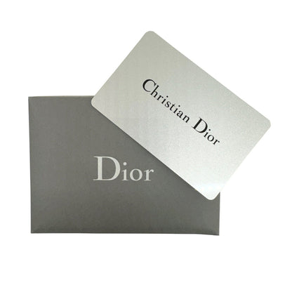 Dior Gray Canvas Lady D-light