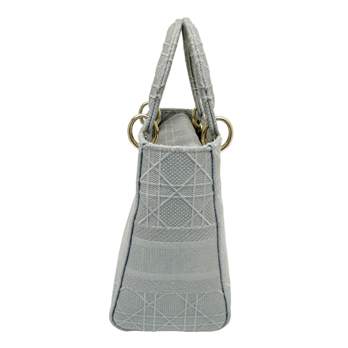 Dior Gray Canvas Lady D-light