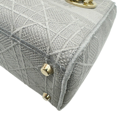 Dior Gray Canvas Lady D-light