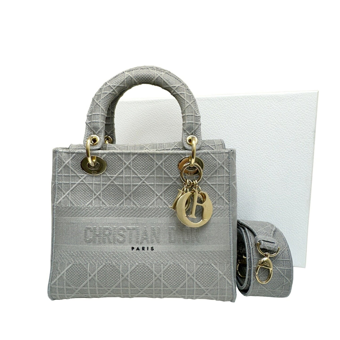 Dior Gray Canvas Lady D-light
