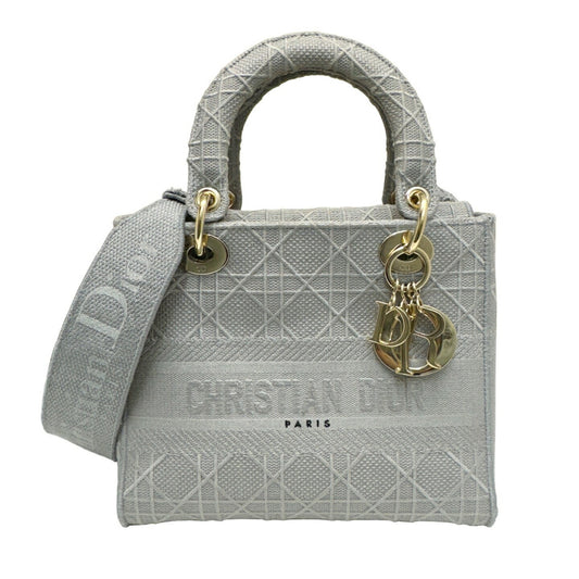 Dior Gray Canvas Lady D-light