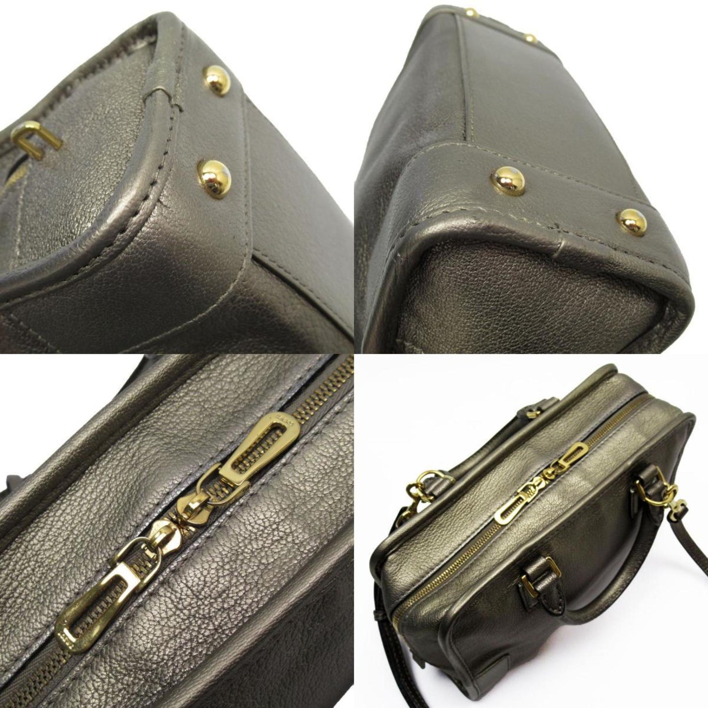 Loewe Gold Leather Amazona