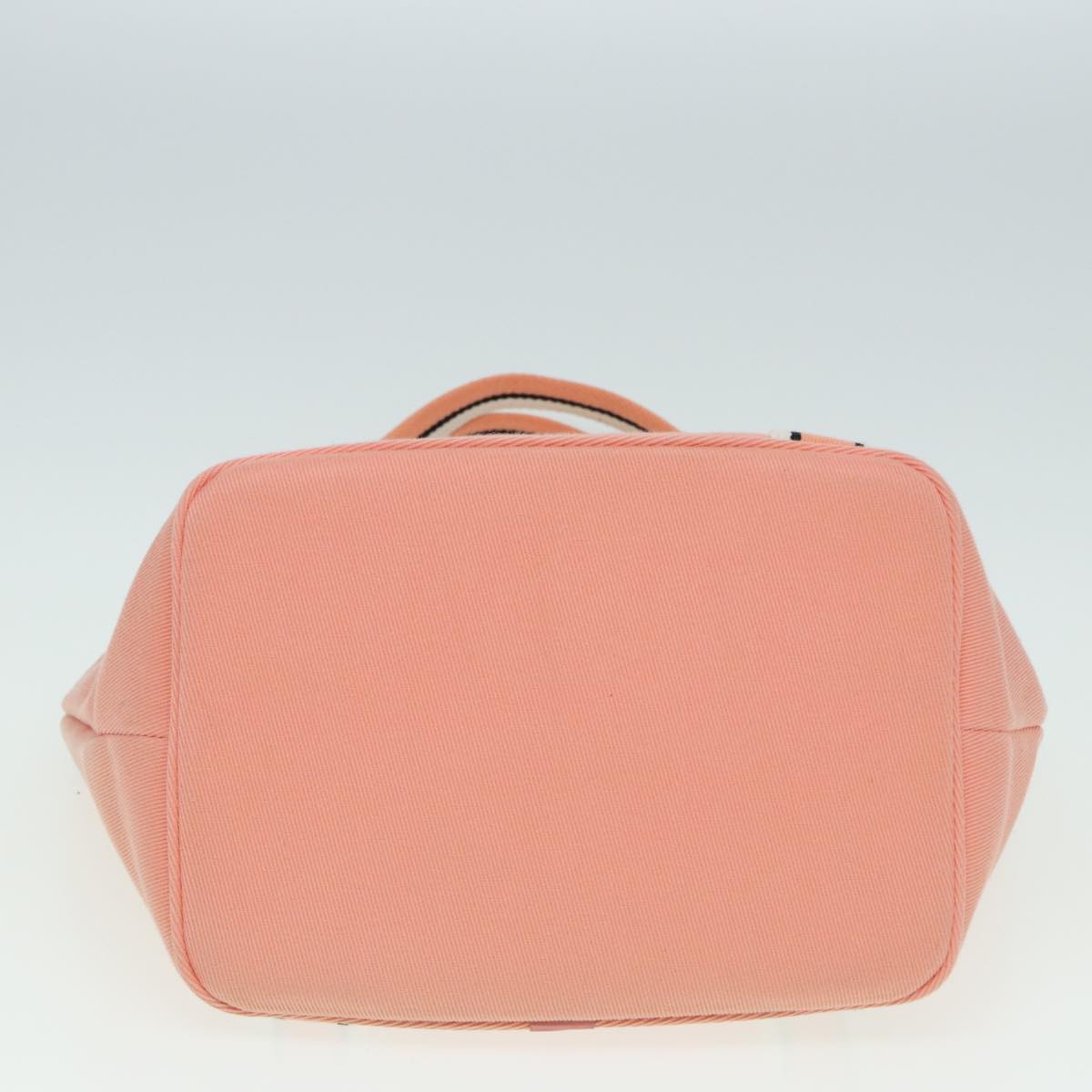 Burberry Pink Canvas Blue Label