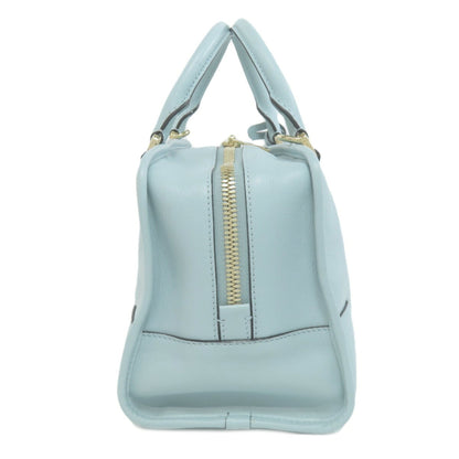 Loewe Blue Leather Amazona