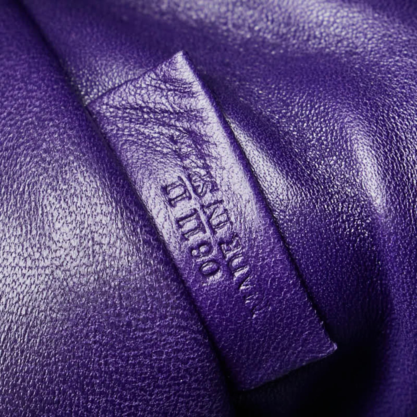 Loewe Purple Leather Amazona