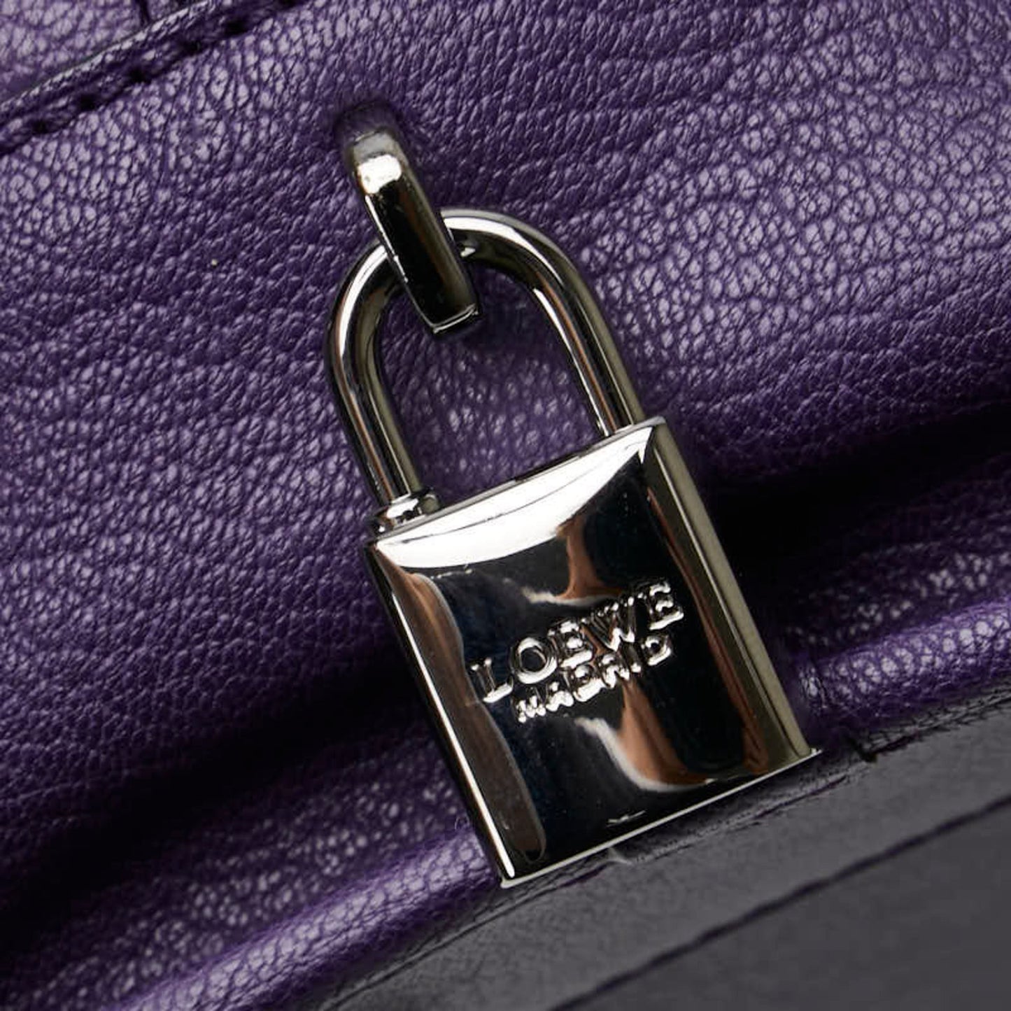 Loewe Purple Leather Amazona