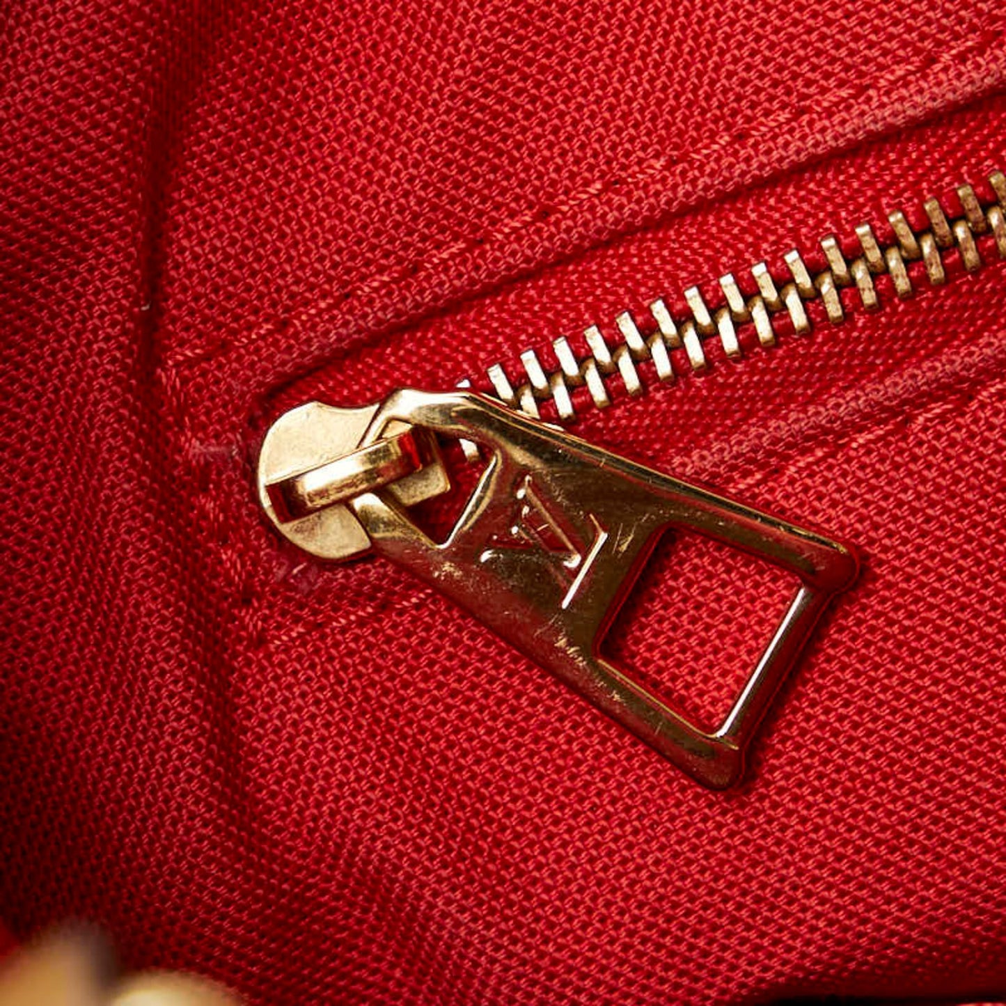 Louis Vuitton Brown Canvas Onthego