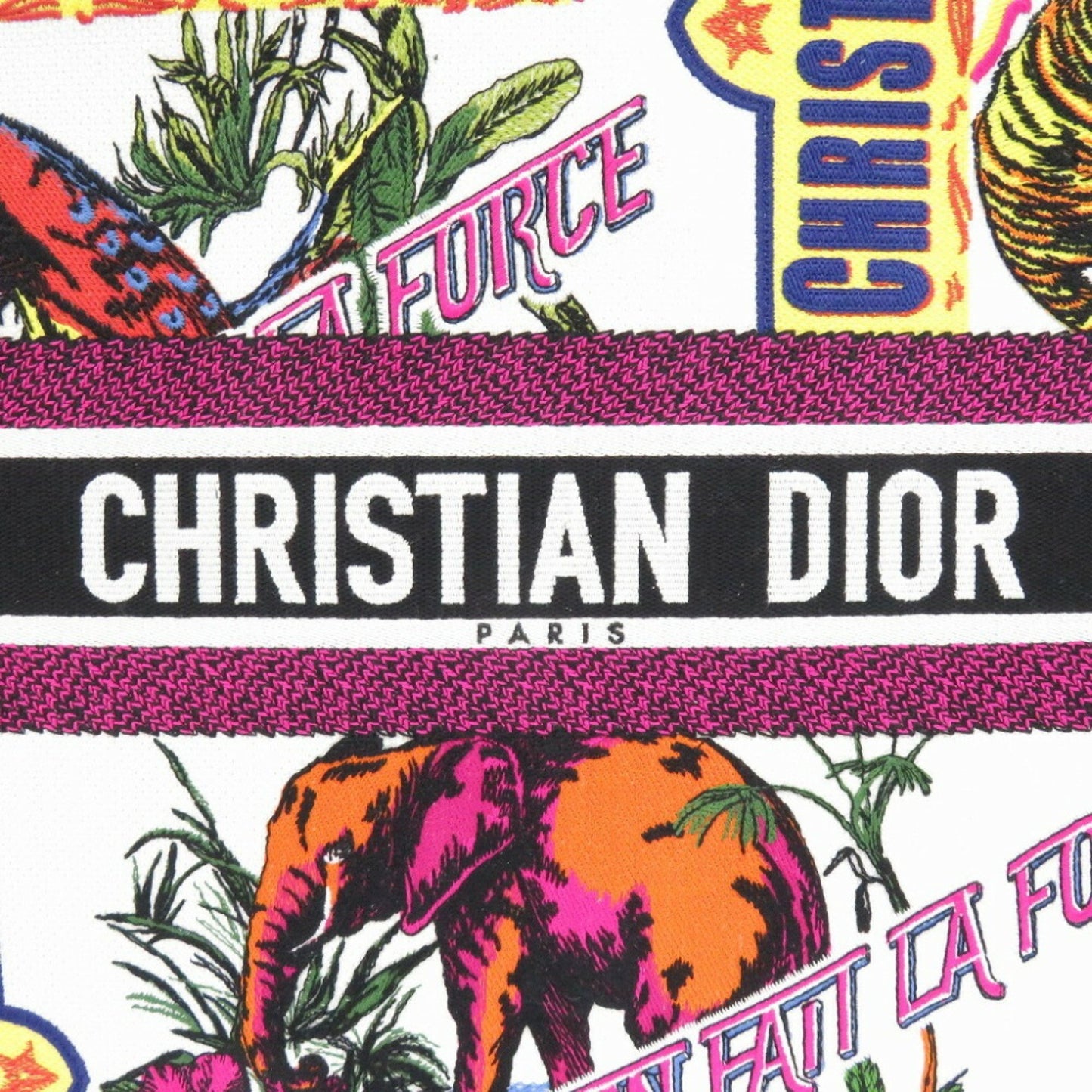 Dior Multi Canvas Book Tote