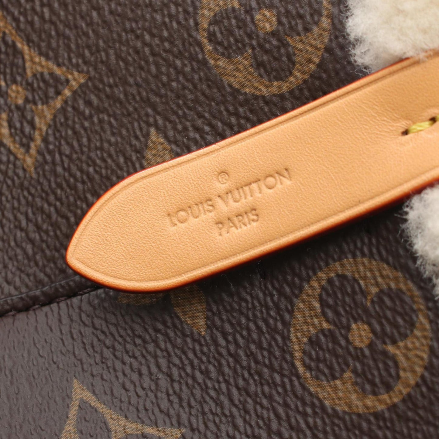 Louis Vuitton Brown Canvas Néonoé Bb