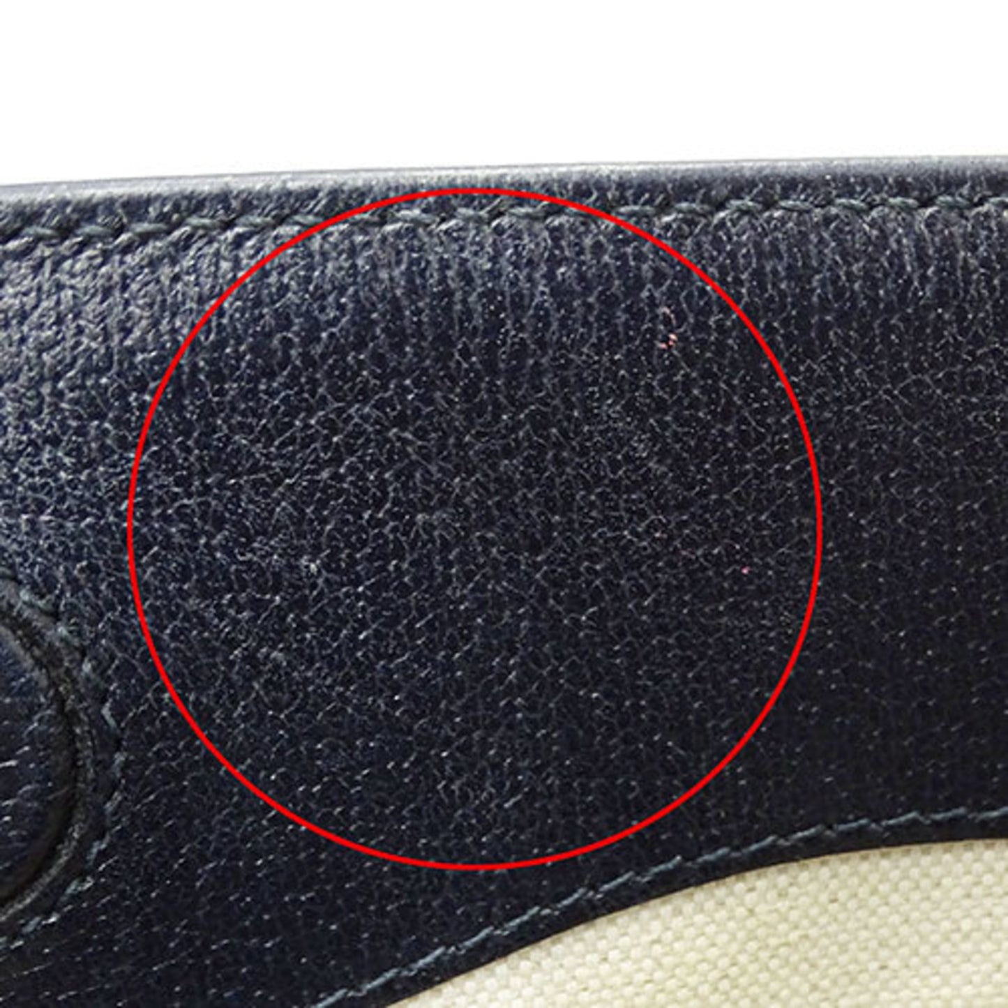 Gucci Brown Canvas Ophidia